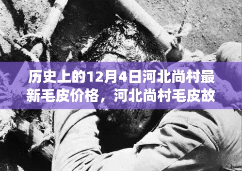 一丝不苟 第4页