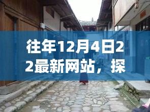 鸷鸟不群 第4页
