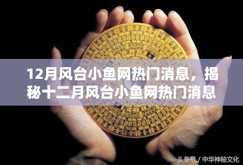 揭秘十二月风台小鱼网三大热门消息深度解析