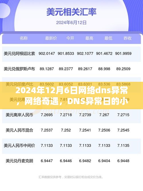 网络奇遇，DNS异常日的小温暖回忆