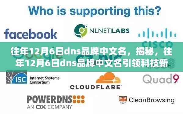 揭秘往年12月6日DNS品牌中文名，引领科技新浪潮，全新功能重塑生活体验