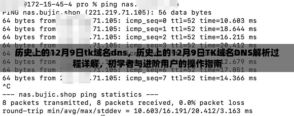 历史上的12月9日TK域名DNS解析详解与操作指南，从初学者到进阶用户的实践教程