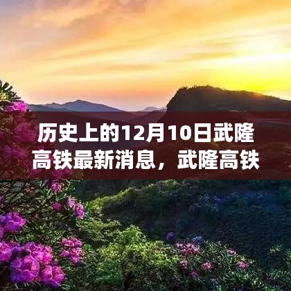 水浄鹅飞 第3页