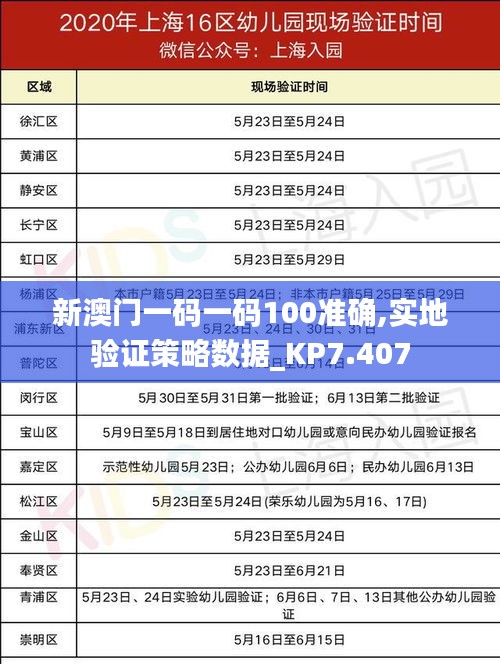 新澳门一码一码100准确,实地验证策略数据_KP7.407