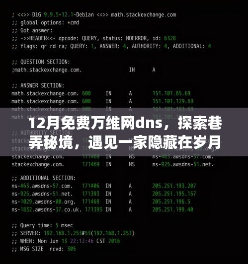 免费万维网DNS带你探索巷弄秘境，遇见岁月深处的特色小店奇妙之旅