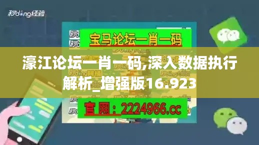 濠江论坛一肖一码,深入数据执行解析_增强版16.923