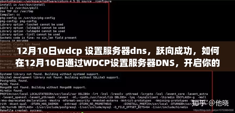 如何通过WDCP设置服务器DNS，跃向成功，开启技术人生新篇章（12月10日指南）