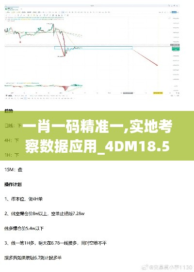 一肖一码精准一,实地考察数据应用_4DM18.562