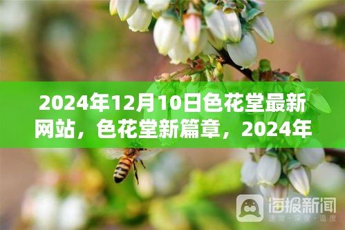 张弓拔弩 第3页