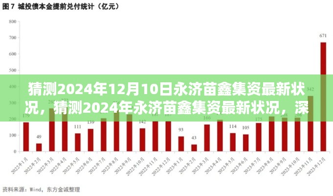深度解析与前景预测，永济苗鑫集资最新状况及未来趋势展望（猜测至2024年12月）