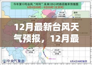 如何应对即将到来的风暴季节，最新台风天气预报解析