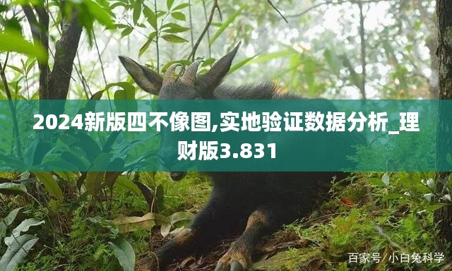 2024新版四不像图,实地验证数据分析_理财版3.831