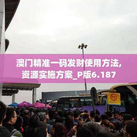澳门精准一码发财使用方法,资源实施方案_P版6.187