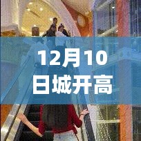 城开高速最新动态，热门消息解读与观点探讨（12月10日）