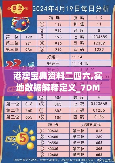 港澳宝典资料二四六,实地数据解释定义_7DM7.343