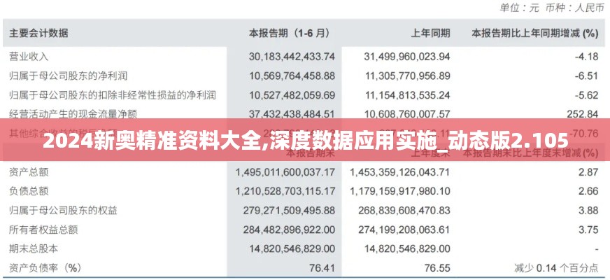 2024新奥精准资料大全,深度数据应用实施_动态版2.105