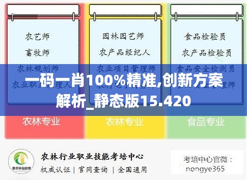 一码一肖100%精准,创新方案解析_静态版15.420