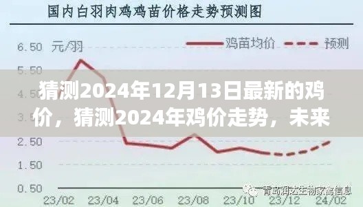 2024年鸡价走势预测与未来鸡市展望分析