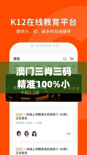 澳门三肖三码精准100%小马哥,综合性计划定义评估_旗舰版5.117