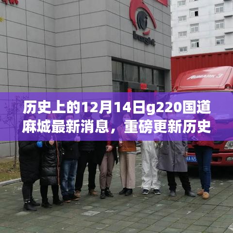 反朴还淳 第3页