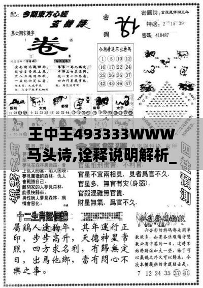 王中王493333WWW马头诗,诠释说明解析_QHD版1.522