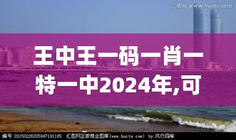 王中王一码一肖一特一中2024年,可行性方案评估_1440p3.467