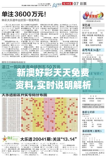 新澳好彩天天免费资料,实时说明解析_C版16.834