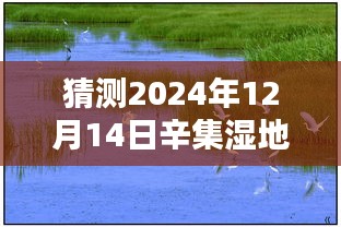 文质彬彬 第3页