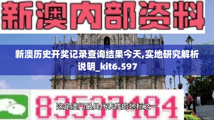 新澳历史开奖记录查询结果今天,实地研究解析说明_kit6.597