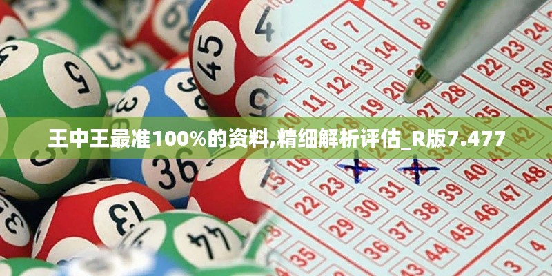 王中王最准100%的资料,精细解析评估_R版7.477