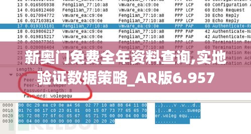 新奥门免费全年资料查询,实地验证数据策略_AR版6.957