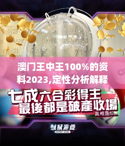 澳门王中王100%的资料2023,定性分析解释定义_增强版19.946
