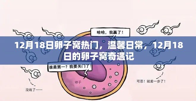 12月18日卵子窝的温馨奇遇