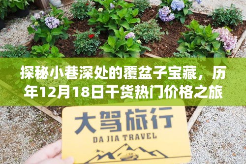 小巷深处的探秘