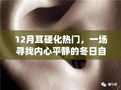 冬日自然之旅，探寻耳硬化的奥秘，寻找内心平静之旅