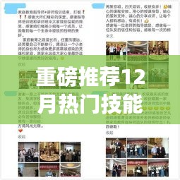 12月热门技能等级证书全解析，开启专业成长之门