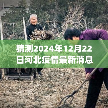 河北疫情最新动态，2024年防控形势展望与未来展望
