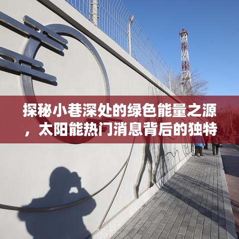 绿色能量之源