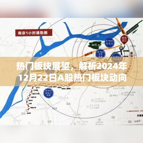 虫蚀鸟步 第3页