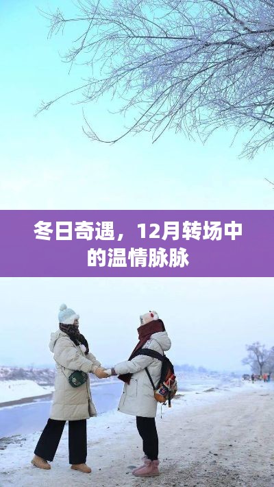 冬日奇遇，转场中温情脉脉的十二月故事