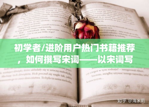 初学者与进阶用户热门书籍推荐，宋词写作入门指南（附2024年最新版）