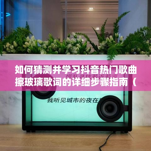 抖音热门歌曲擦玻璃歌词猜测与学习步骤指南（适合初学者与进阶用户）