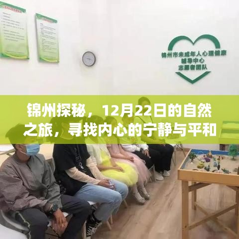 锦州探秘，寻找内心宁静与平和的12月自然之旅