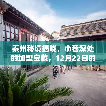 泰州小巷加盟宝藏揭秘，高盈利传奇即将上演，12月22日盛大揭晓！