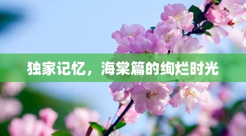独家记忆，海棠篇的绚烂时光