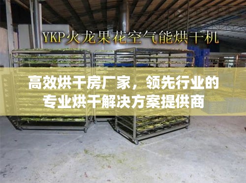 高效烘干房厂家，领先行业的专业烘干解决方案提供商