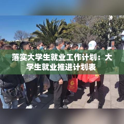 落实大学生就业工作计划：大学生就业推进计划表 
