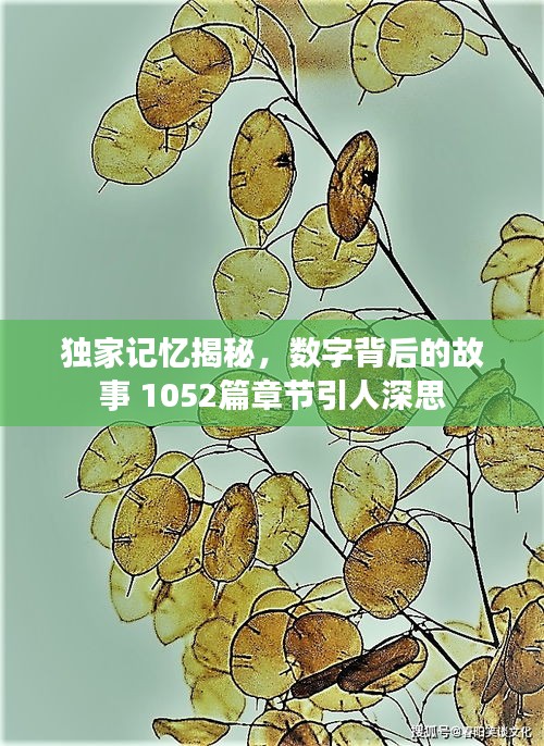 独家记忆揭秘，数字背后的故事 1052篇章节引人深思