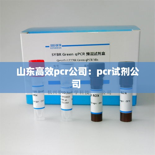 山东高效pcr公司：pcr试剂公司 