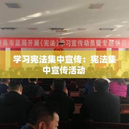 学习宪法集中宣传：宪法集中宣传活动 